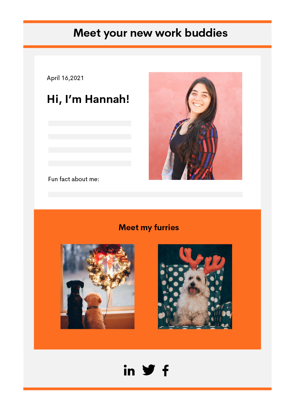 Newsletter with the header "Meet your new work buddies," followed by an image of a smiling young woman next to the headline "Hi, I'm Hannah!", and under that, the headline "Meet my furries" followed by images of three dogs. 