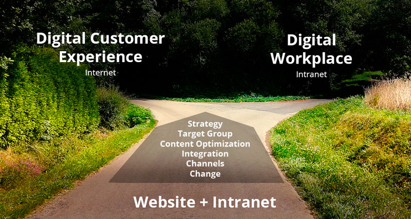 CMS for website versus CMS for intranet