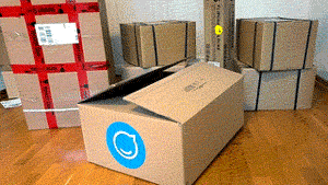 Video Animation Dog jumping out of a box