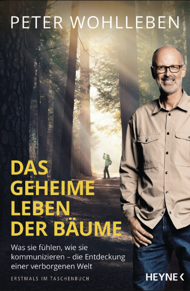 Cover Peter Wohlleben Das Geheime Leben Der Bäume 1