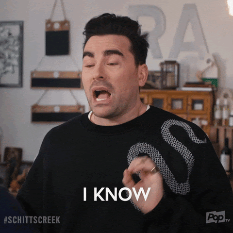 David Rose from Schitt's Creek waves his hands and says "I know, it's a lot to process."