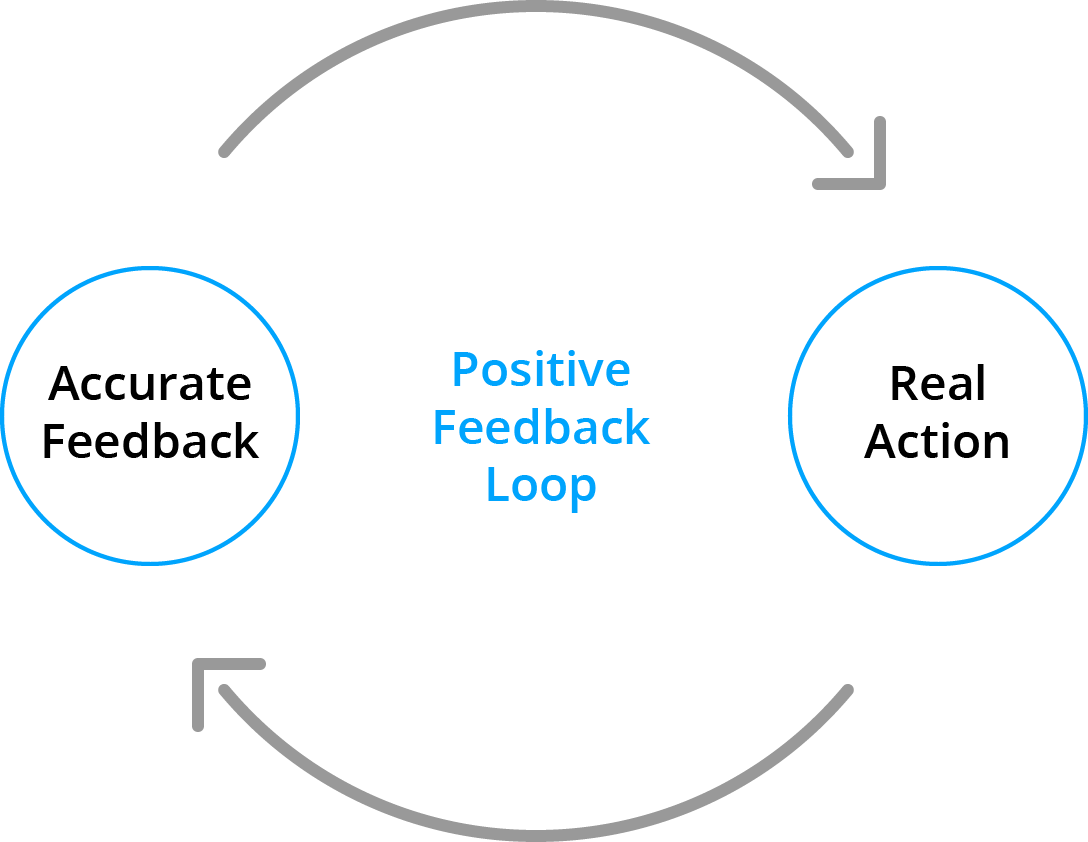 A drawing of a positive feedback loop in which accurate feedback leads to real action.