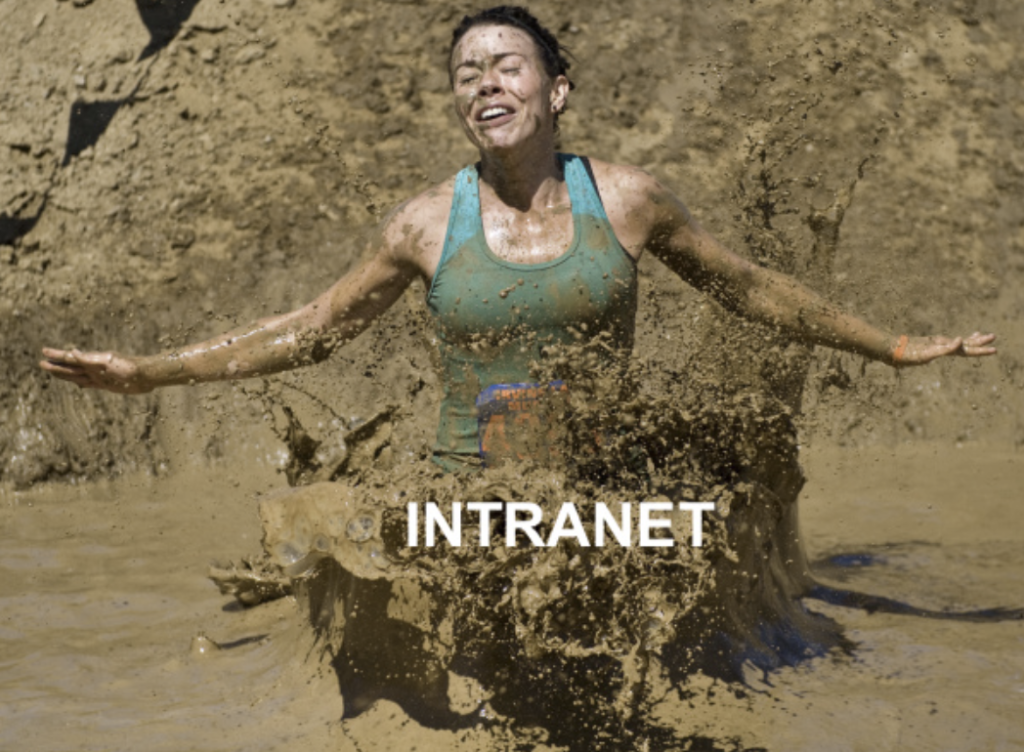 When building an intranet, don't get bogged down by the implementation.