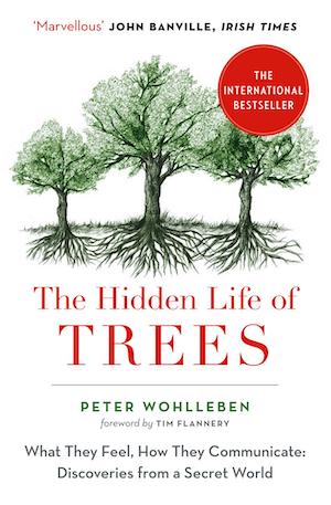 Great summer reads: Peter Wohlleben