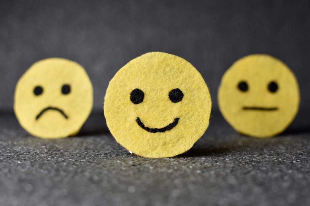 Employee Survey Smileys